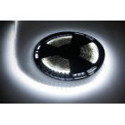 LED-riba Rebel, külm valge, 12 V, 25m (60x5050SMD/m)