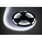LED-valguskett Rebel, külmvalge, veekindel, 12V, 25m (1500x5050 SMD)