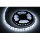LED-riba Rebel külmvalge, veekindel, 12V 5m (300x5630)
