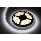 Dioodkett Rebel, külm valge, veekindel 300x5050 SMD 5 m 12V