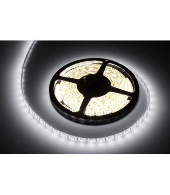 Dioodkett Rebel, külm valge, veekindel 300x5050 SMD 5 m 12V