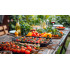 Gaasigrill – 5 põletit, ruum gaasiballoonile, Teesa BBQ 5007 MASTER