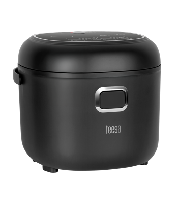 TEESA reisimultikeetja ja riisikeetja, 12-24V / 230V, 350W, 2L