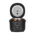 TEESA reisimultikeetja ja riisikeetja, 12-24V / 230V, 350W, 2L