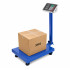 Elektrooniline platvormkaal LCD-ekraaniga, lao- ja kaubakaal, 300 kg, 40 × 50 cm