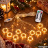 Mikro-led-valguskardin puldi ja taimeriga, soe valge, 300 ledi, 3x3m