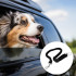 Elastne turvavöö koerale autos, must, 30cm-50cm