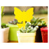 Kollased liimpüünised lillepottidesse seenekärbeste, äädikakärbeste ja muude putukate püüdmiseks, 12 tk