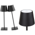 Puutejuhtimisega juhtmeta öö- ja laualamp, 3 valgusrežiimi, USB, 38cm