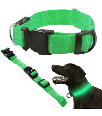 Helendav LED-kaelarihm koerale ja kassile, roheline, 36–59 cm