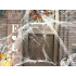 Valge veniv ämblikuvõrk 4 musta ämblikuga – Halloweeni kaunistus