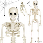 Halloweeni rippuv luukere liigutatavate jäsemetega, 40 cm
