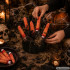 Halloweeni kaunistus: verised kunstsõrmed, 5 tk