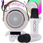Juhtmevaba kaasaskantav karaokekomplekt Bluetooth-kõlari ja 2 mikrofoniga