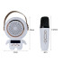 Juhtmevaba kaasaskantav karaokekomplekt Bluetooth-kõlari ja 2 mikrofoniga