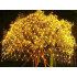 LED-valgusvõrk, 100 LED-i, soe valge, välitingimustesse, 1x2m