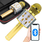 Juhtmevaba Bluetooth-karaokemikrofon kõlari ja ümbrisega, mitu režiimi, kuldne, 22 cm