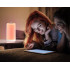 Puutetundlik värviline juhtmeta LED-öölamp USB-C-ga