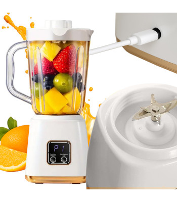 Kaasaskantav USB-blender smuutidele ja kokteilidele – HP-158, 600 ml, 23 cm