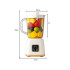 Kaasaskantav USB-blender smuutidele ja kokteilidele – HP-158, 600 ml, 23 cm