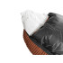 Pehme velvetist koera- ja kassipesa, libisemiskindla põhjaga, pruun, S