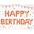 Roosa HAPPY BIRTHDAY fooliumõhupallide vanik, 13 tk