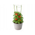 Taimetugi 3 reguleeritava rõngaga, DIVODV, 90 cm