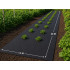 Must multšiv agrokiud DIVODV, umbrohutõkkekangas, 50 g/m², 1x20m