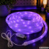 Painduv RGBIC LED-neoonriba Bluetoothi, rakenduse ja puldiga, USB, 10 m, 360°