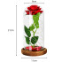 Punane igavene roos LED-valgustusega klaaskupli all, 21 cm