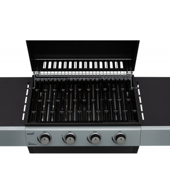 Mustangi gaasigrill Maryville'is 4