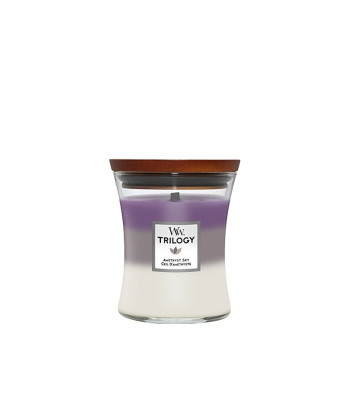 WoodWick Keskmise suurusega lõhnaküünal "Trilogy Amethyst Sky" 275 g