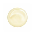 Shiseido Revita lizer silmakreem meestele (Total Revita lizer Eye) 15 ml