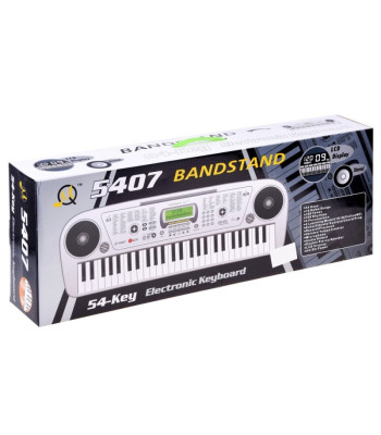 Vargonai su mikrofonu MQ5407 54 klavišai IN0116