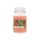 Yankee Candle Tranquil Garden, 623 g