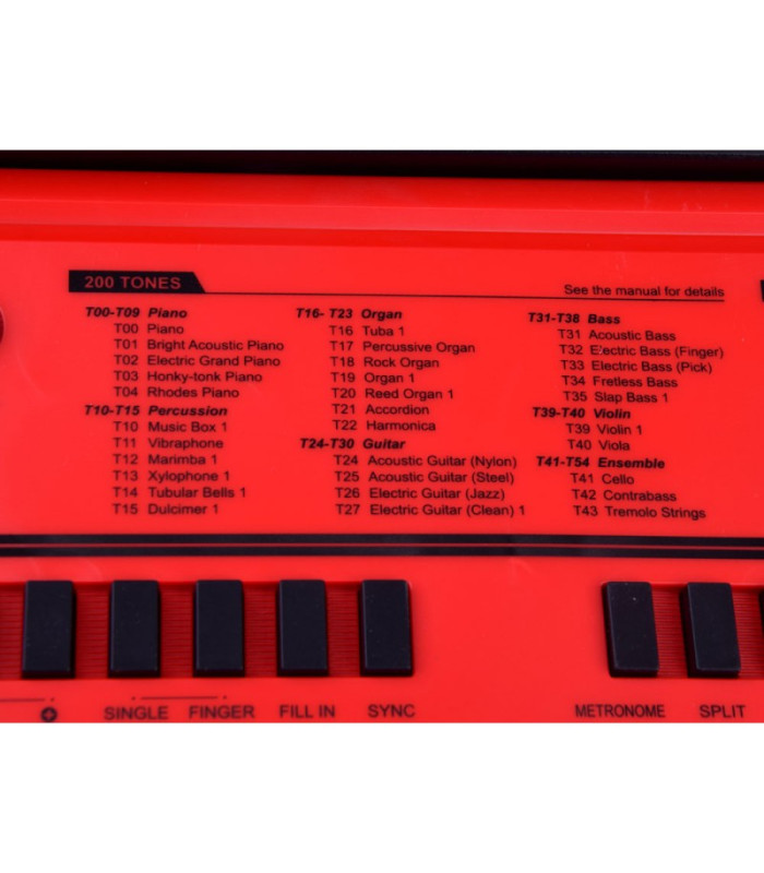 Didieji klavišiniai vargonai BF-950A + mikrofonas IN0140