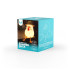 LED naktinis šviestuvas SUMMER DUCK FNL-11 Forever Light