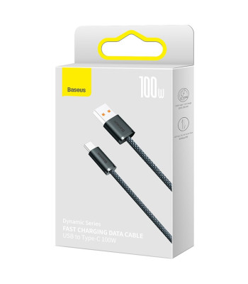 Baseus kabelis Dynamic USB - USB-C 1,0 m pilkos spalvos 100 W